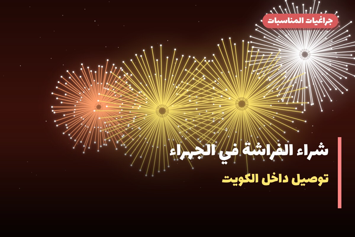 دليل شراء الفراشة في الجهراء: كل ما تحتاج معرفته قبل الطلب