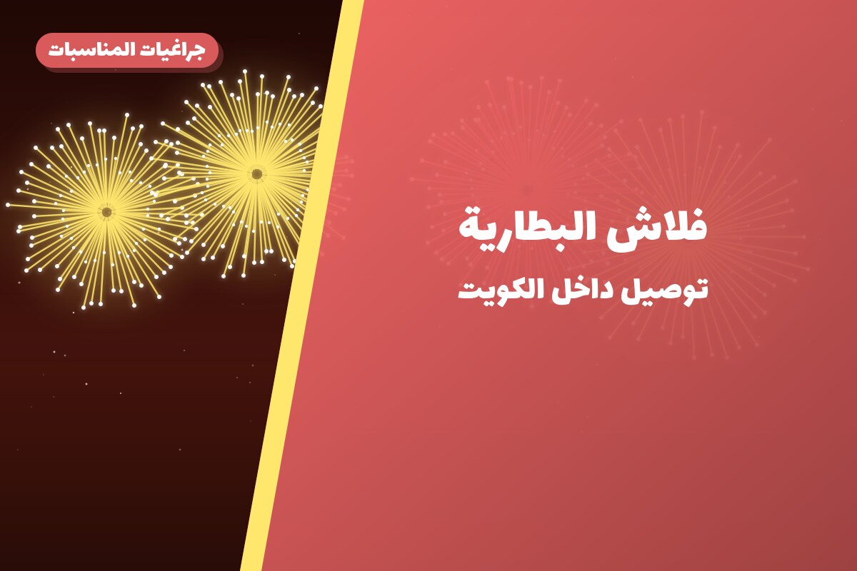 فلاش البطارية: السعر والمواصفات الكاملة