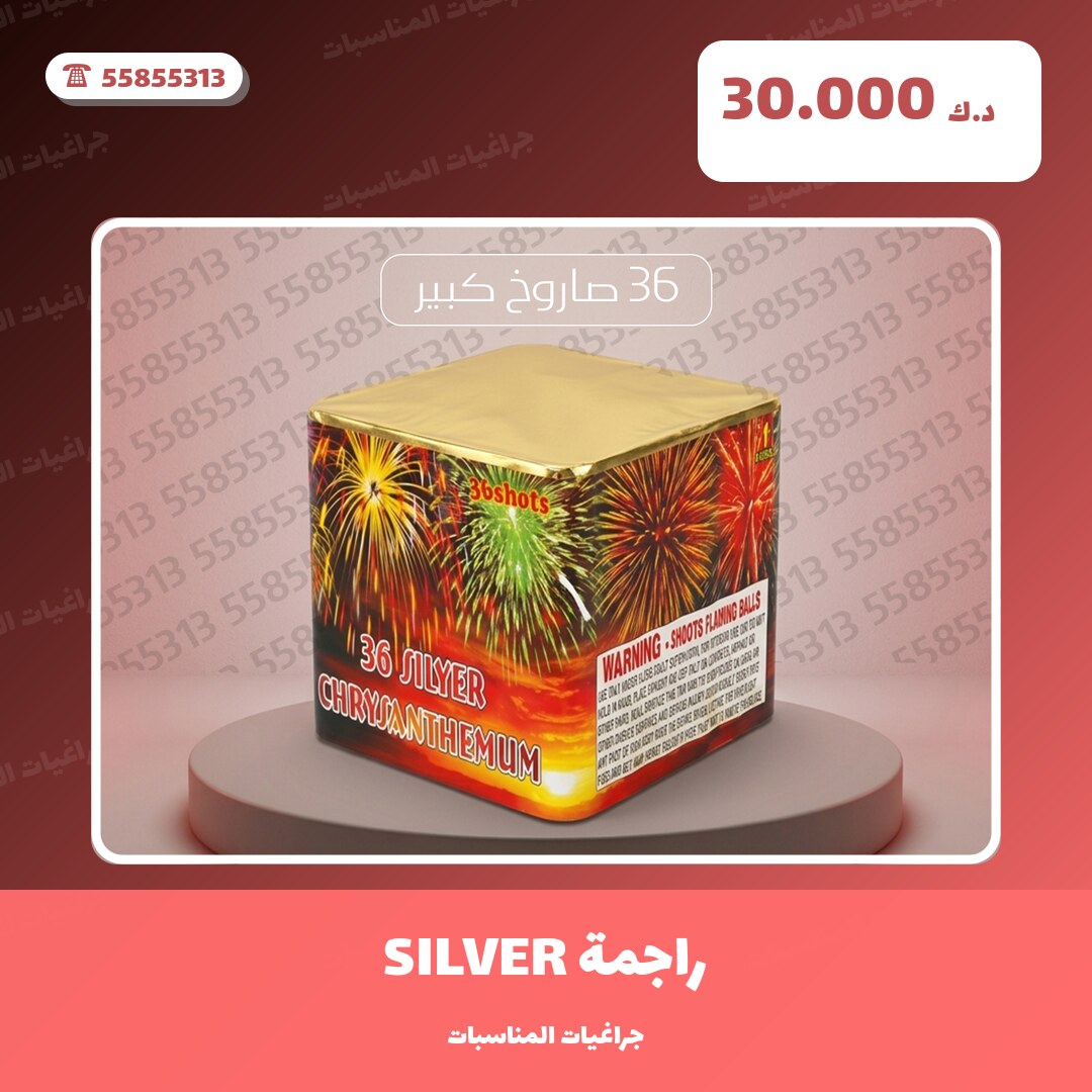 دليل راجمة SILVER: كل ما تحتاج معرفته قبل الطلب